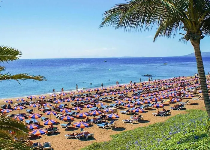 Vacacional En 푸에르토 델 카르멘